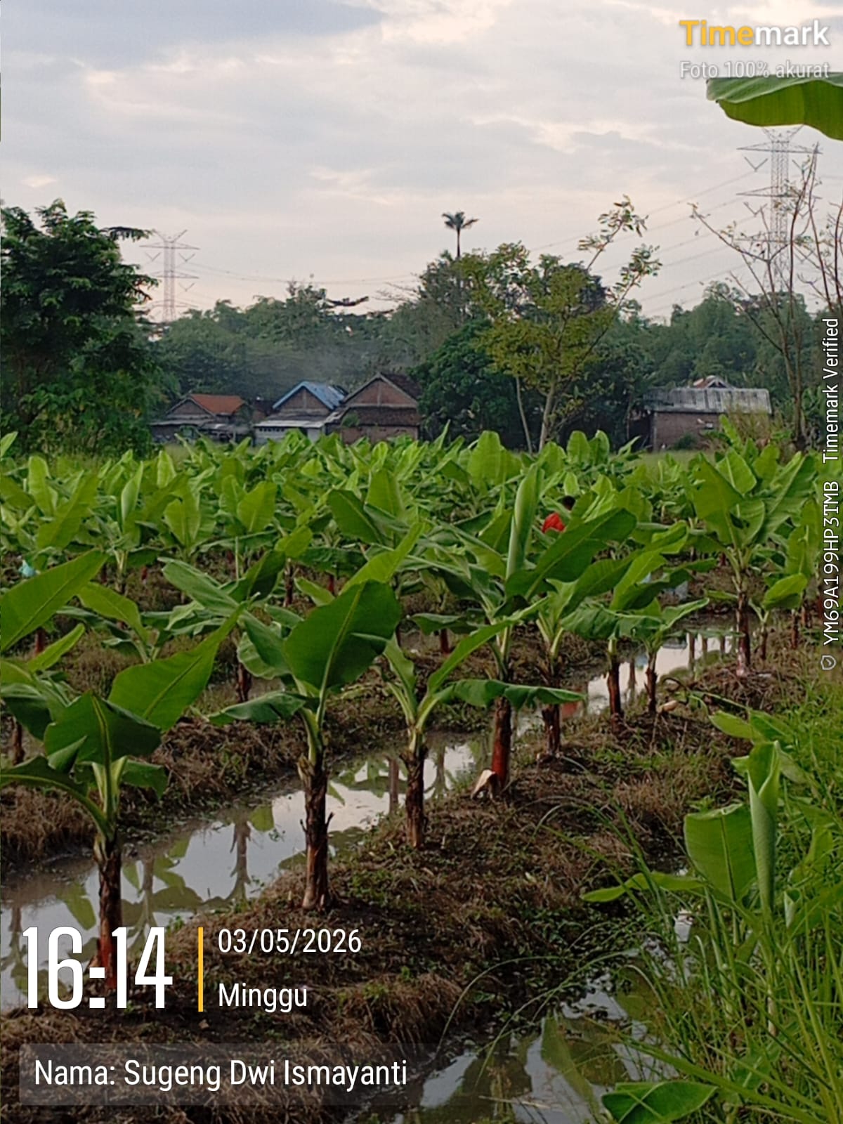 Unit Usaha Pangan